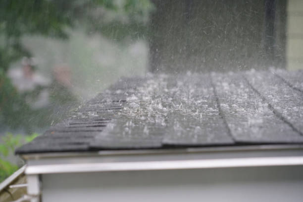Asphalt Shingles Roofing in Chesaning, MI