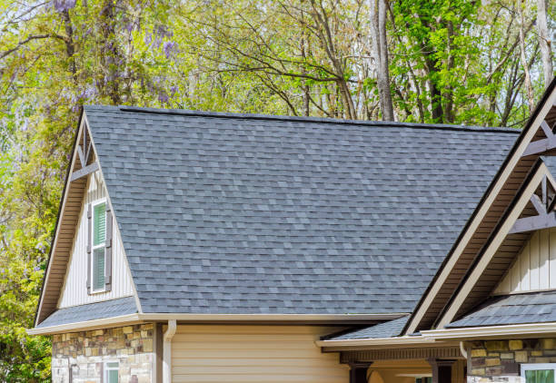 Best Gutter Installation and Repair  in Chesaning, MI