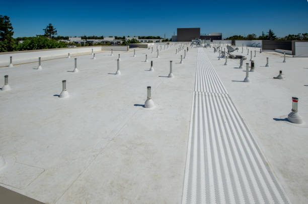 Best Roof Insulation Installation  in Chesaning, MI